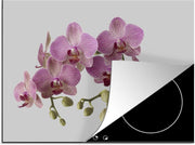 Luxe inductie beschermer Roze orchidee - 70x52 cm - Roze orchideeën op grijze achtergrond  - inductiebeschermer