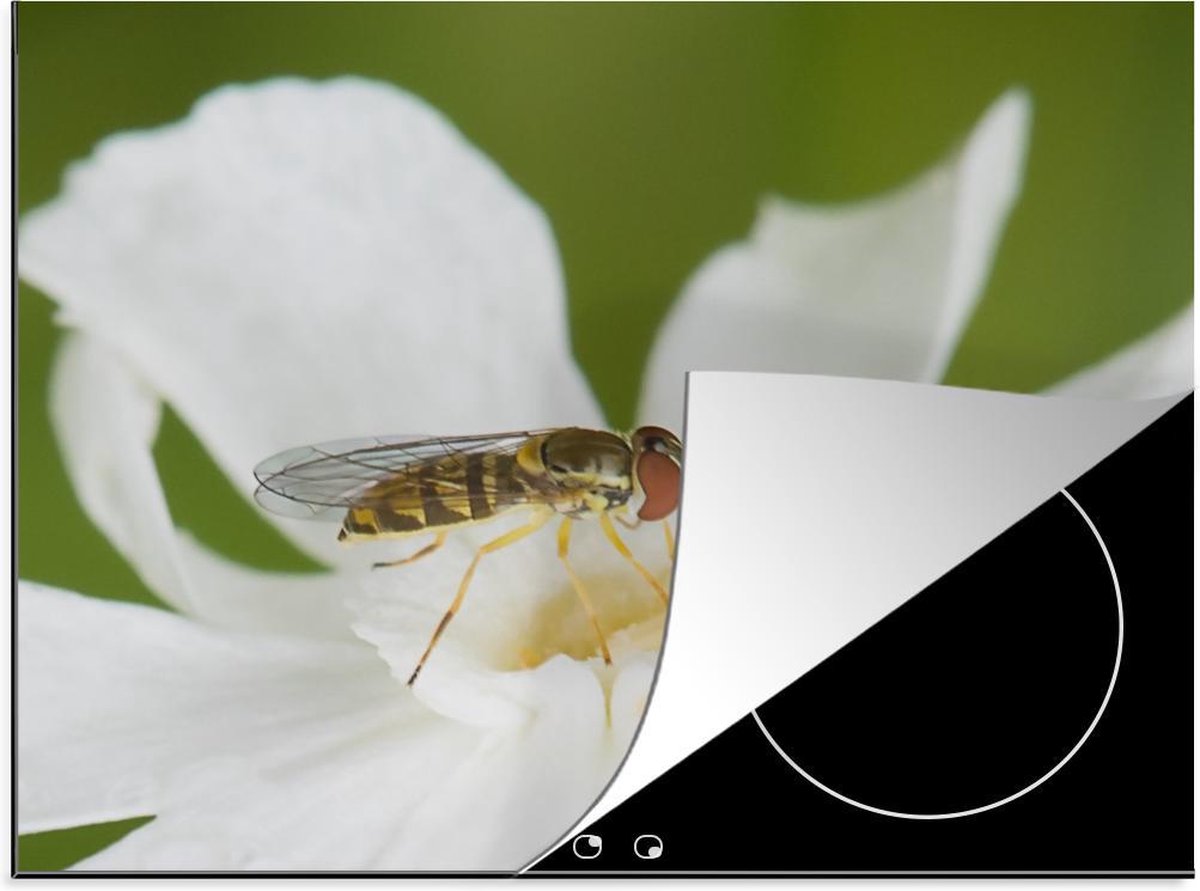 Luxe inductie beschermer Insecten - 75x52 cm - Zweefvlieg op bloem  - inductiebeschermer