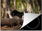 Luxe inductie beschermer Border Collie - 75x52 cm - zwart-witte border collie die over boomstam springt  - inductiebeschermer