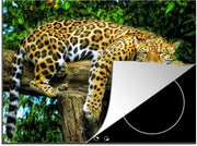 Luxe inductie beschermer Jaguar - 70x52 cm - gekleurde Jaguar rust uit op tak in boom  - inductiebeschermer