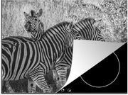 Luxe inductie beschermer Zebra in zwart wit - 60x52 cm - Drie grazende zebra's  - inductiebeschermer