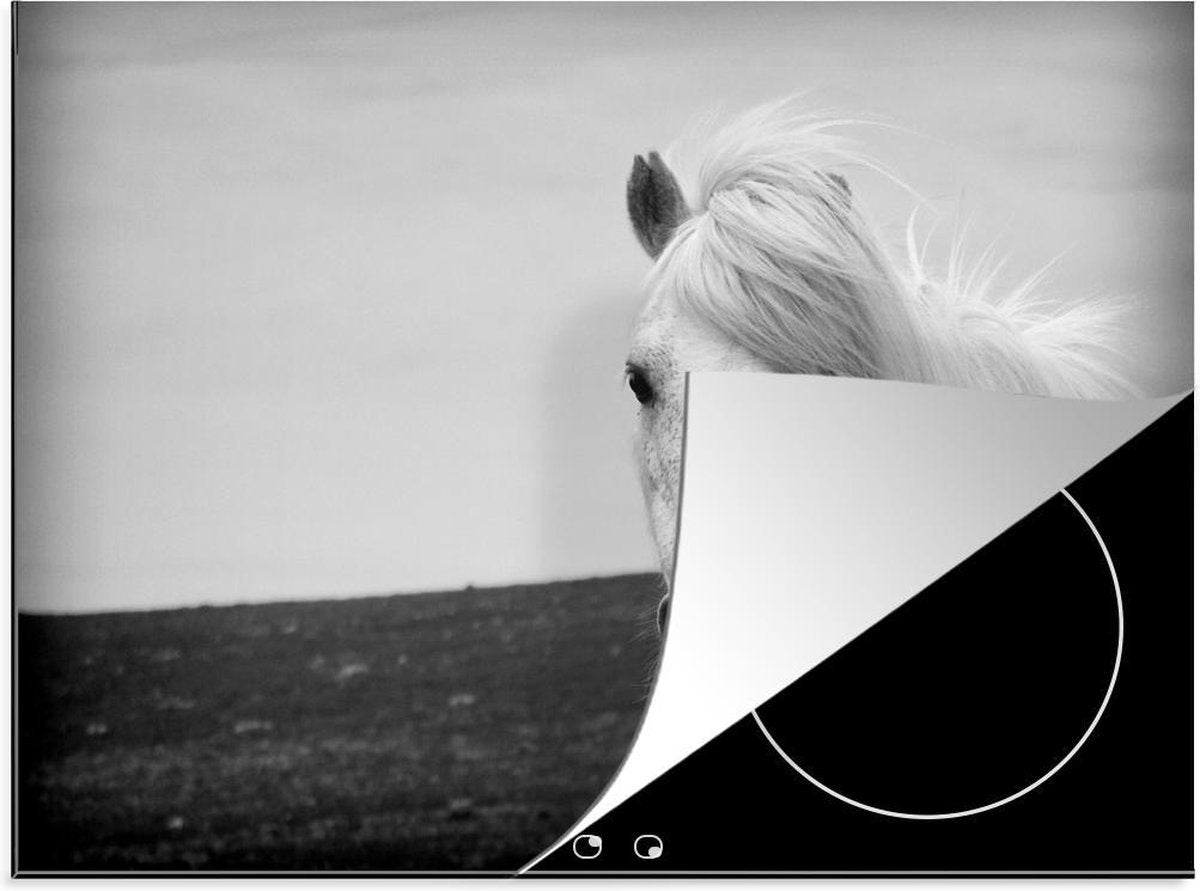 Luxe inductie beschermer Paarden in zwart wit - 70x52 cm - Portret wit paard in zwart-wit  - inductiebeschermer