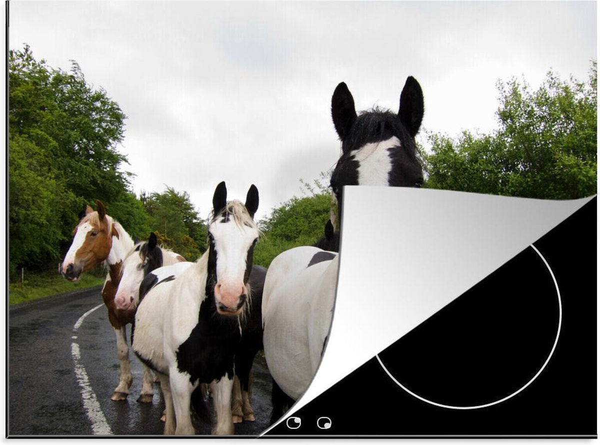 Luxe inductie beschermer Tinker Paard - 70x52 cm - Group of horses standing in road  - inductiebeschermer