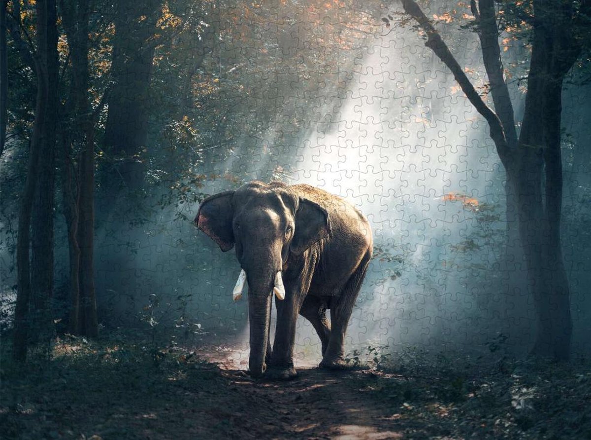 Puzzel met Olifant - Legpuzzel - Lastige Puzzel Volwassenen - 500 Stukjes