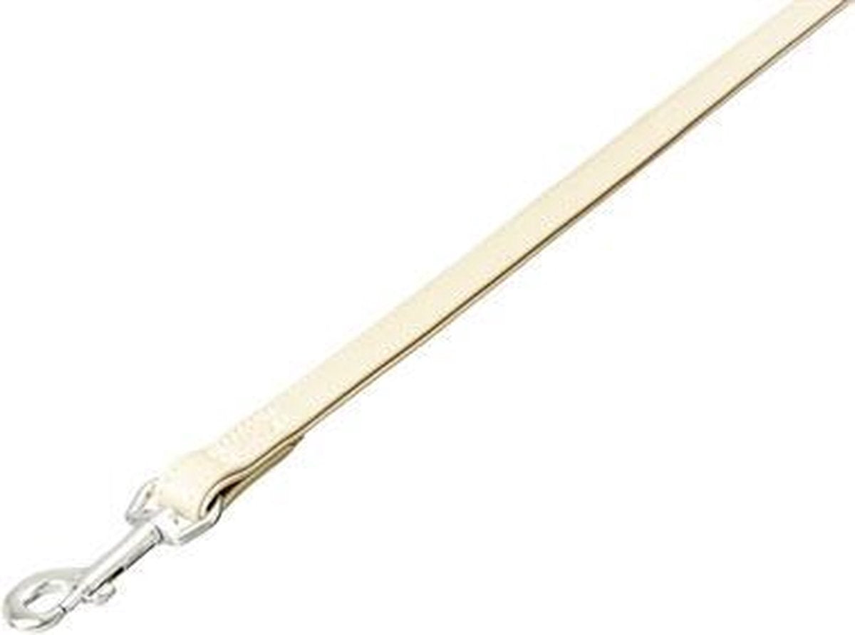 Nordic leash biscuit