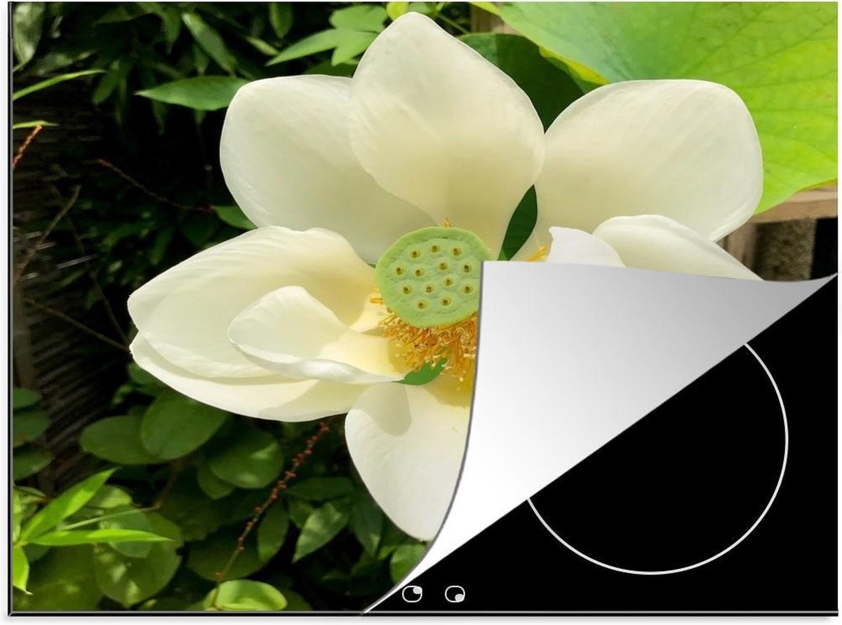 Luxe inductie beschermer Witte Lotus - 65x52 cm - Witte lotus in tuin  - inductiebeschermer