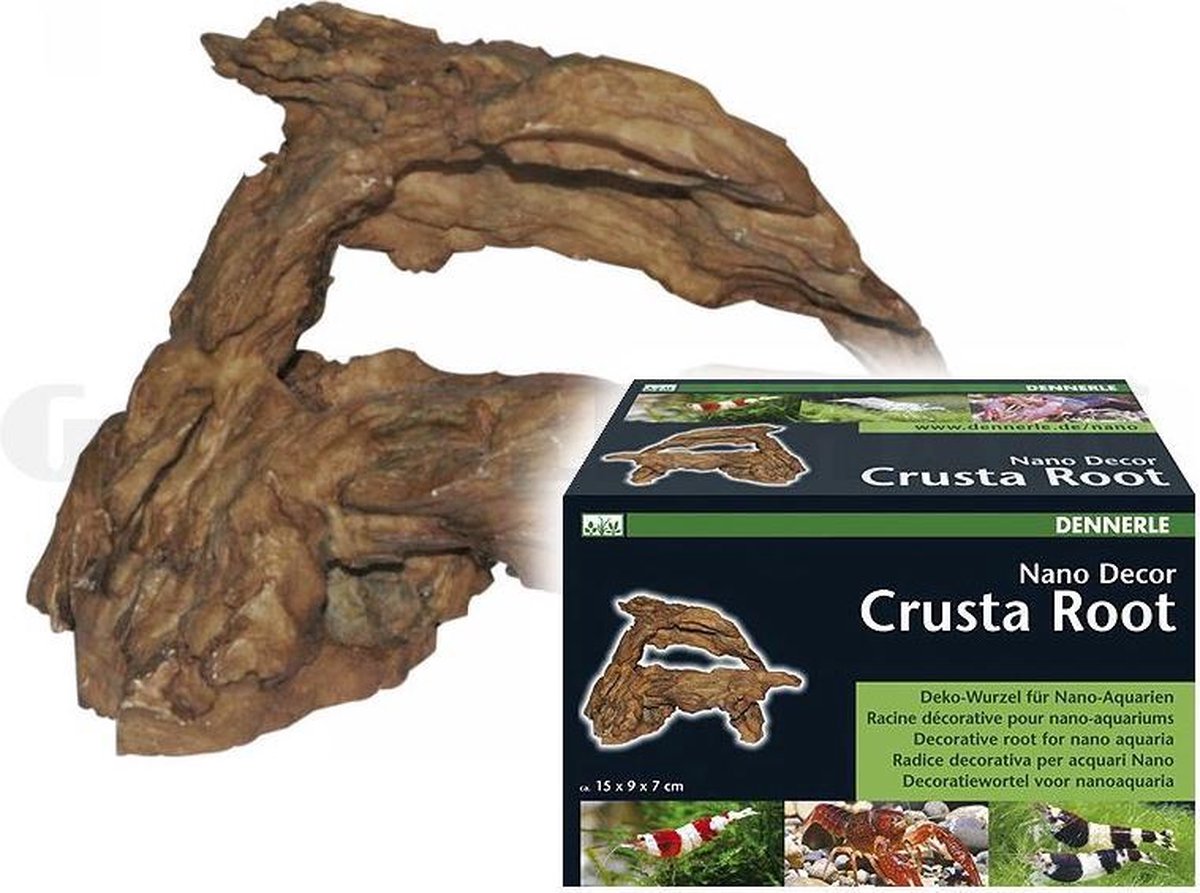 Crusta root - Aquarium Decoratie