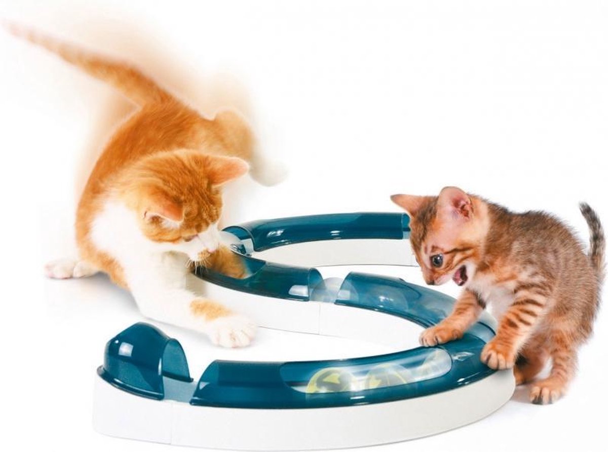 Cat it design senses speelbaan