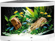 Juwel Trigon Aquarium - 98