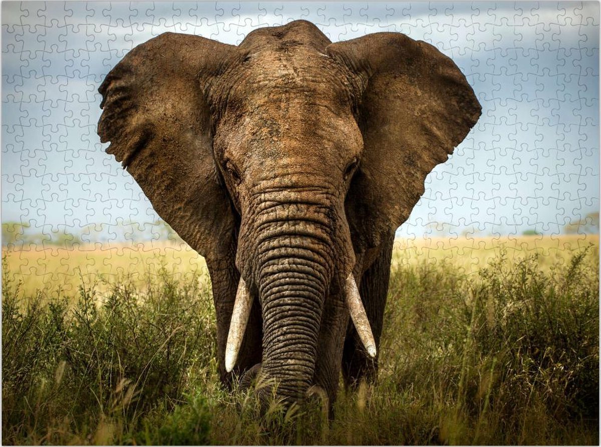 Olifant op de Afrikaanse Savanne - Natuur - Lastige Legpuzzel 500 stukjes