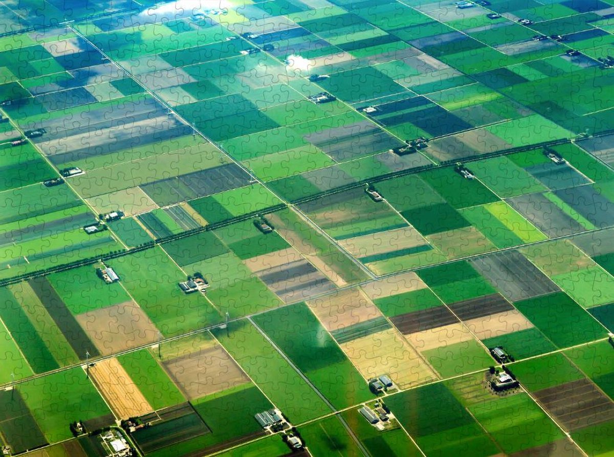 Platteland in Nederland - Puzzel 500 stukjes