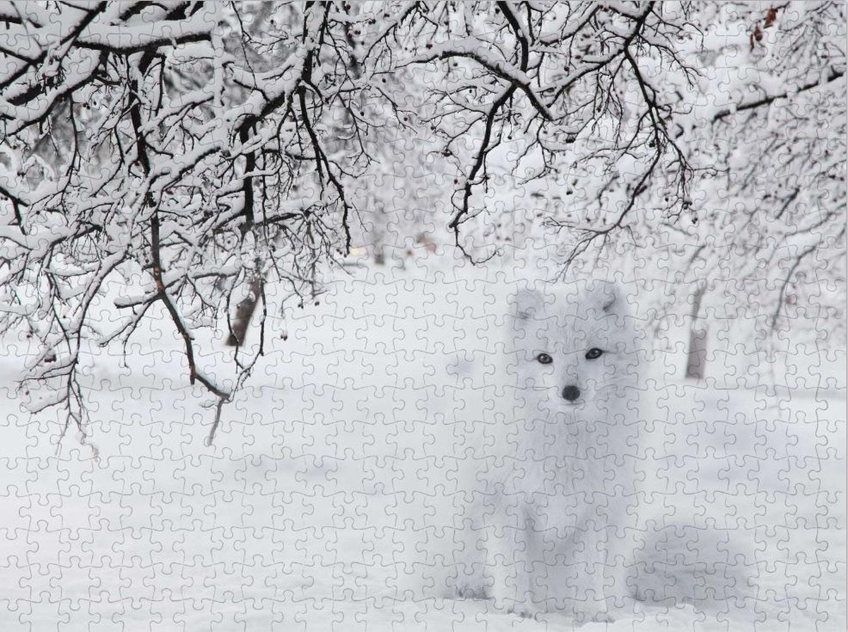Witte Vos op Puzzel - Sneeuw - Bos - Lastige Puzzel 500 Stukjes