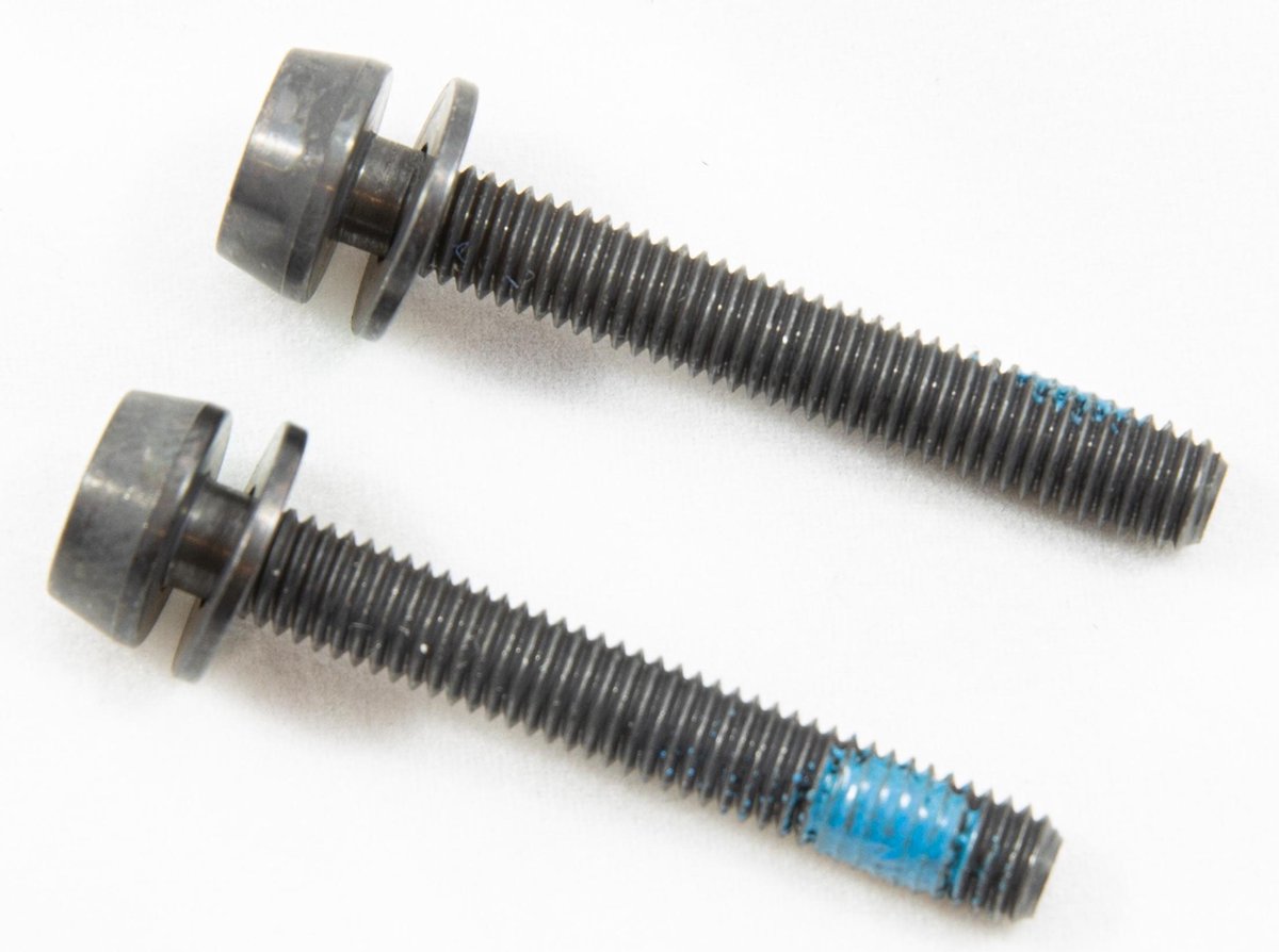 Campagnolo Bouten Voor Schijfremklauw Achter 29 Mm 2 Stuks
