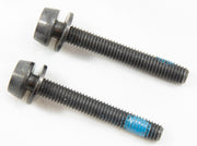 Campagnolo Bouten Voor Schijfremklauw Achter 44 Mm 2 Stuks