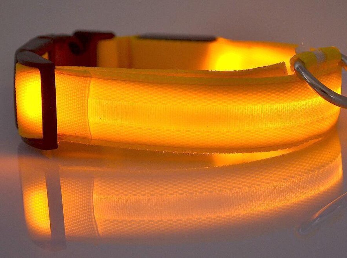 LED halsband voor honden - Geel - L - Lichtgevende halsbanden voor hond - Puppy halsbandje - Puppie - Halsbandjes - Hondenhalsband met lichtje - Lichtgevend - Licht in het donker - Hondenhalsbanden
