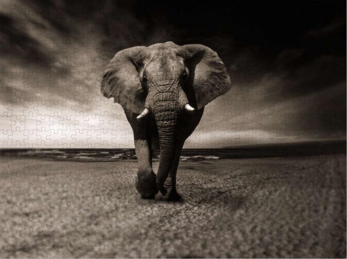 Olifant op Puzzel - Zwart Wit - Afrika - Lastige Puzzel 500 Stukjes