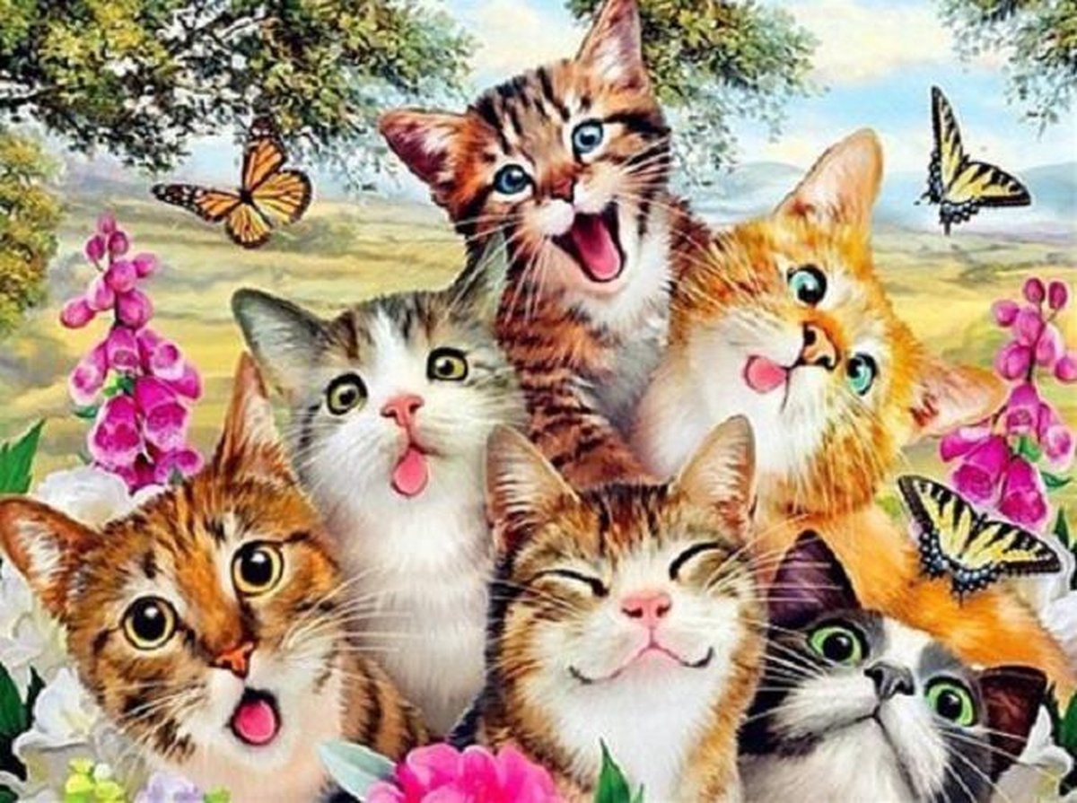 Katten: Gekke Bekken - Diamond Painting - 15x20cm - Complete Set - Inclusief Tools - Stipco