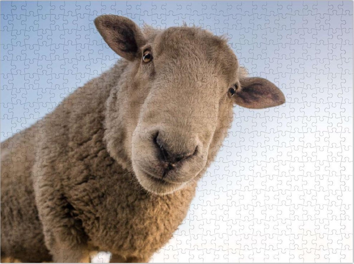 Schaap maakt Selfie - Lastige Puzzel 500 Stukjes | Schaap Puzzel - Dieren - Selfie