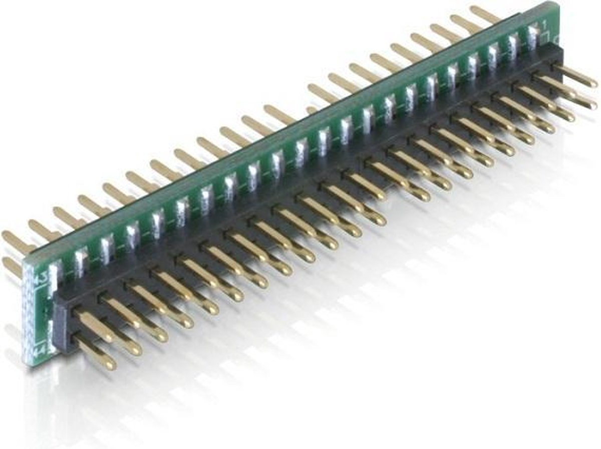Delock - Adapter 44 Pin IDE Stecker - 44 Pin IDE Stecker