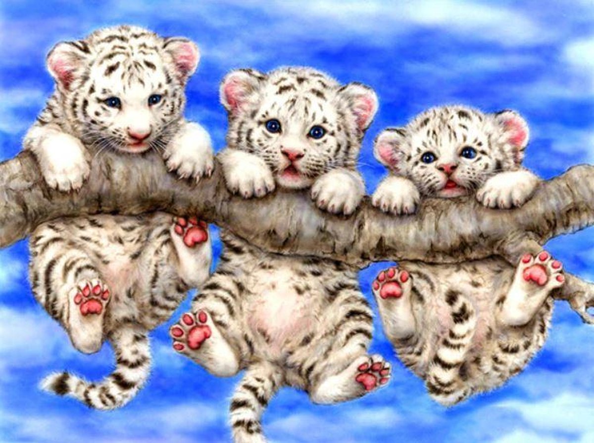 Hangende Tijgers - Diamond Painting - 15x20cm - Complete Set - Inclusief Tools - Stipco
