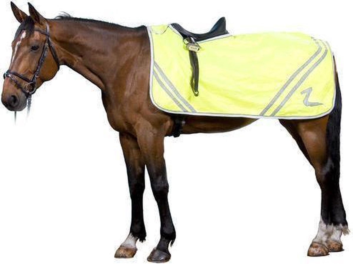 Horze Reflectrider Pro Trek Geel 205