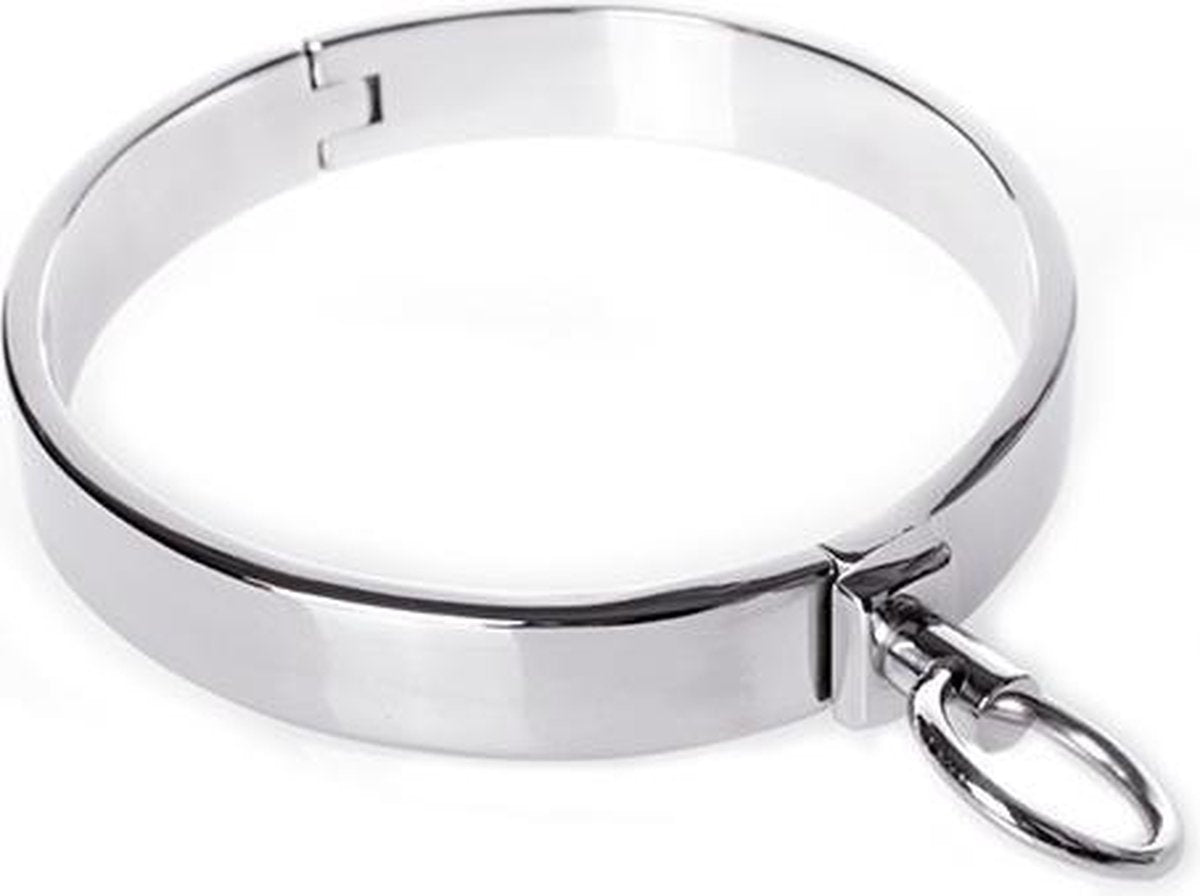 Collar RVS zonder slot - large