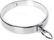 Collar RVS zonder slot - large