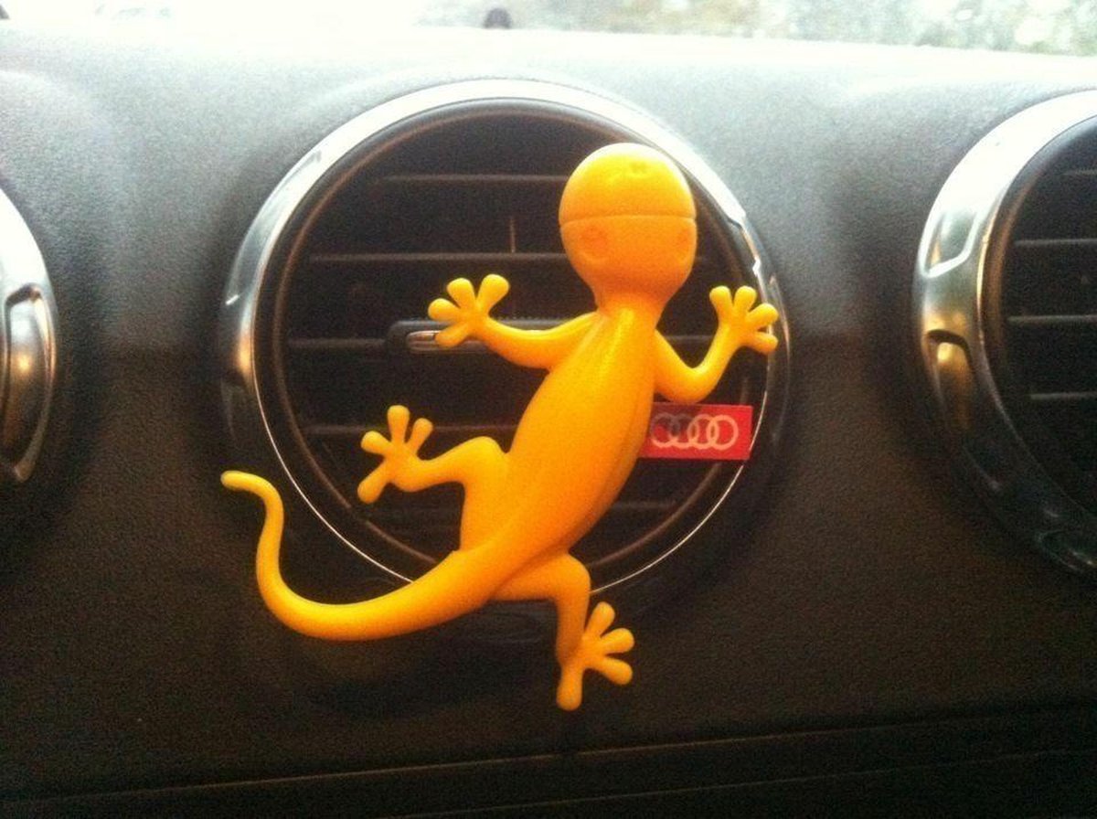 Audi Geur Gekko Geel