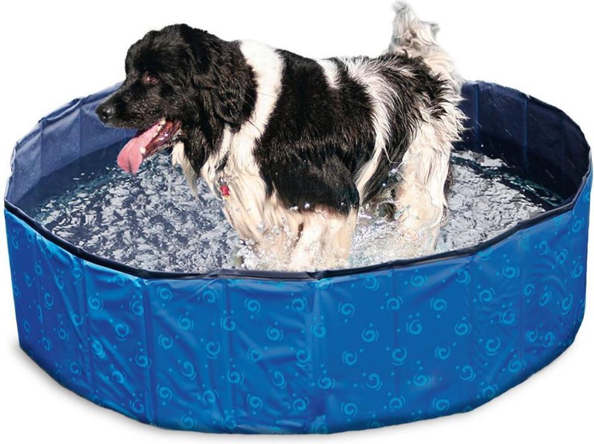 Doggy pool blue 160 x 30cm