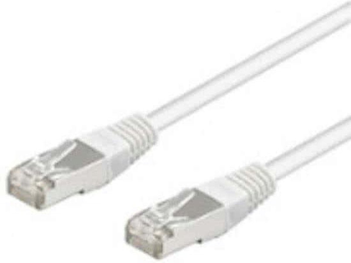 Wentronic CAT 5-3000 FTP 30.0m