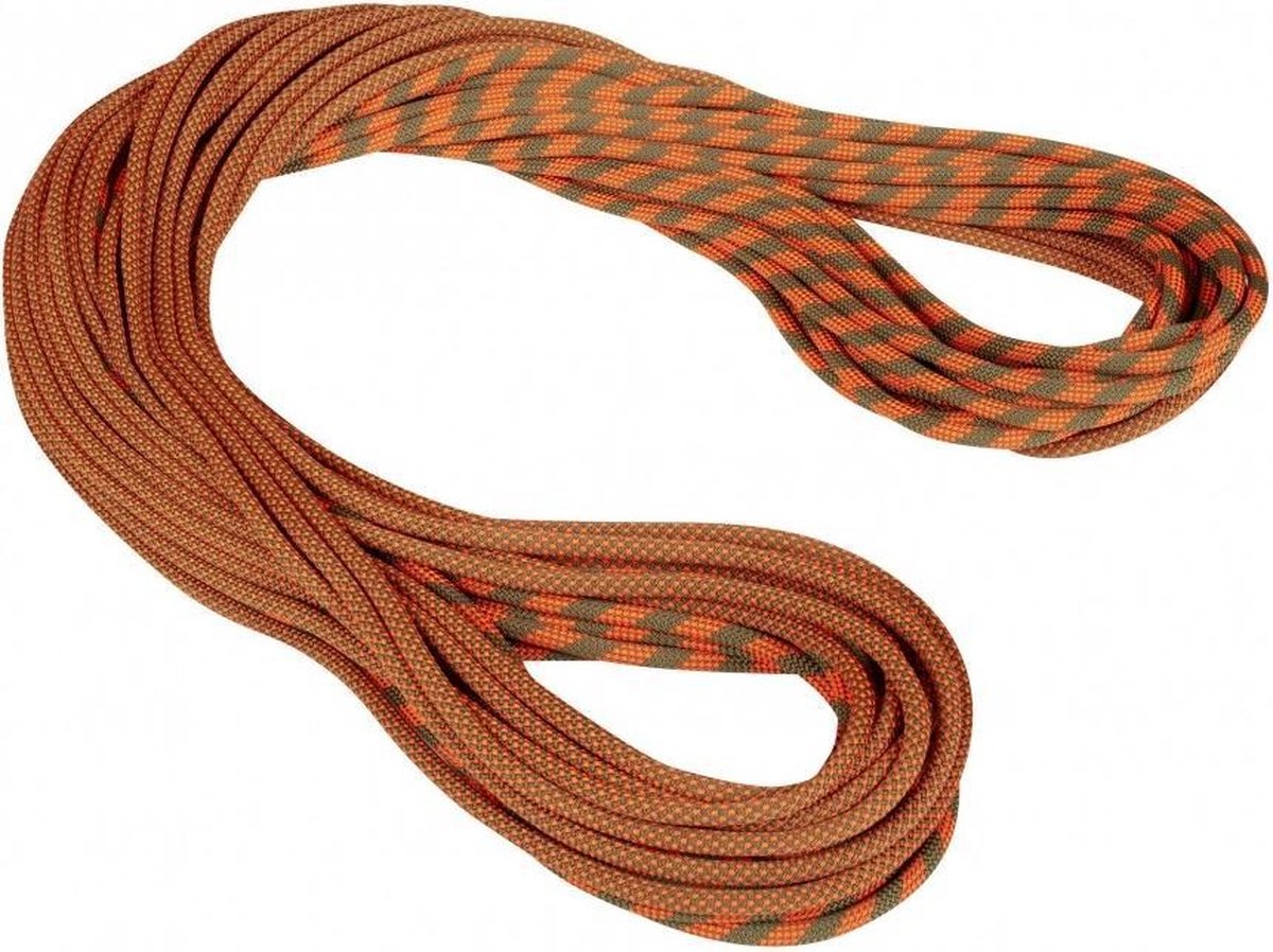Mammut 9.5 Crag dry duodess gemarkeerd geïmpregneerd touw 50 Meter