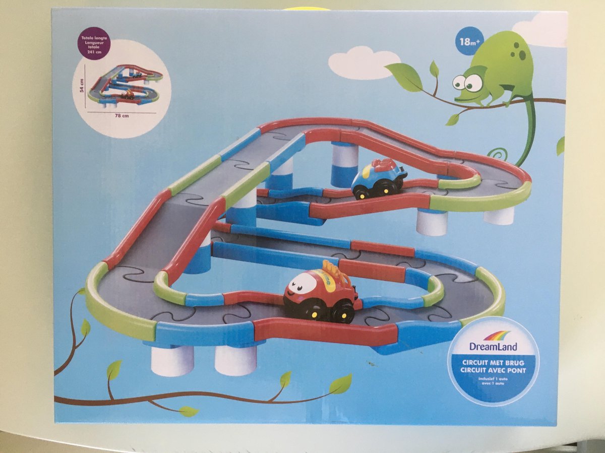 Circuit met brug