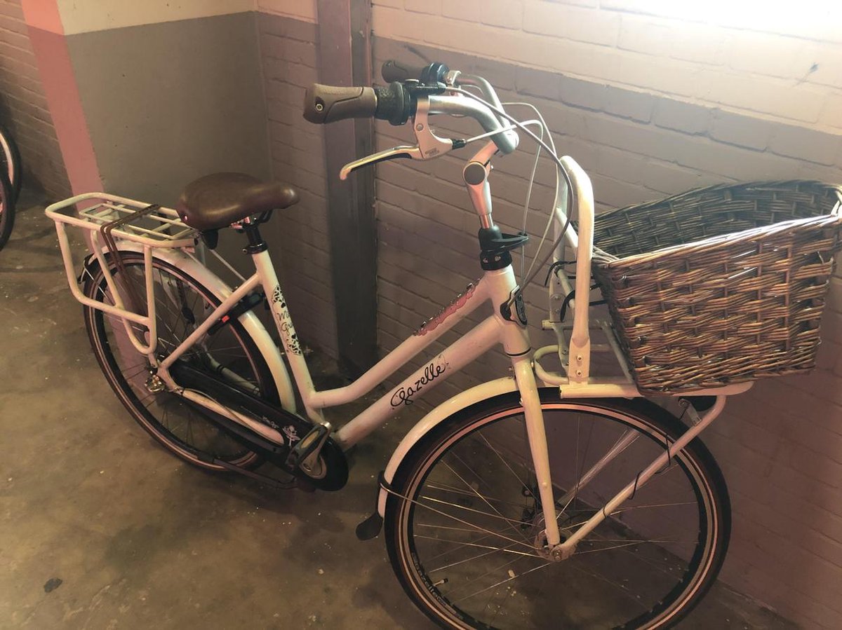 Gazelle Miss Grace - Transportfiets - Vrouwen - Mintgroen  - 61 cm