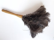 Plumeau Struisvogelveren - Lengte 38cm