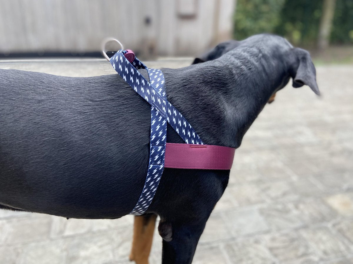 NORVEGIAN HARNESS L | Power Flow
