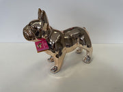 Pomme pidou  franse bulldog spaarpot jack