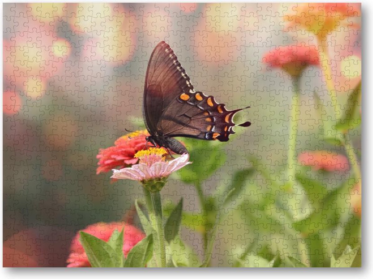 Kleine zwarte satyrium vlinder op een roze bloem - 500 Stukjes puzzel voor volwassenen - Dieren - Natuur - Bloemen
