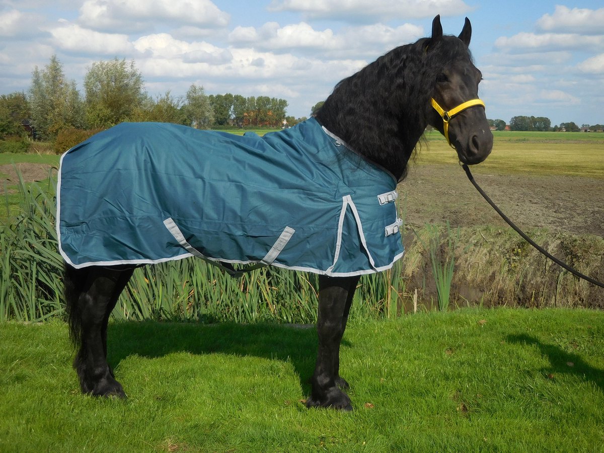 Buitendeken de luxe 450gr petrol groen paardendeken - maat 205