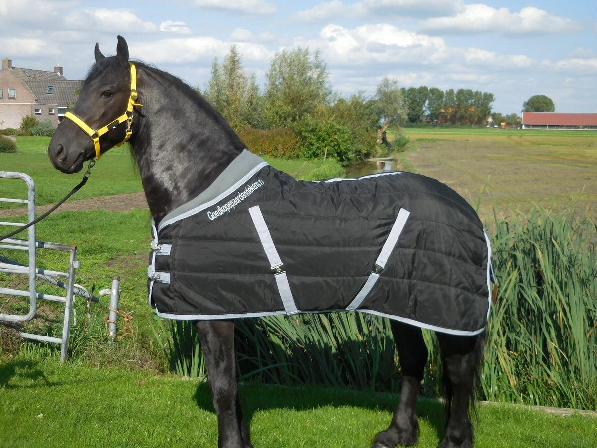 STALDEKEN LUXE MET FLEECEKRAAG (150GR) GOEDKOPEPAARDENDEKENS ZWART MET GRIJS-175