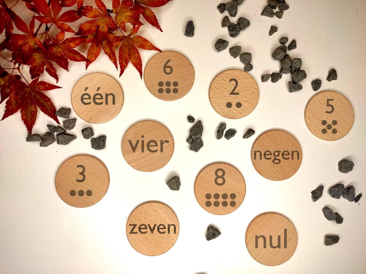 Houten munten met getallen -  Duurzaam speelgoed - Educatief speelgoed - Houten speelgoed