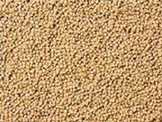 Vivani Cichlide Visvoer Pellets 2 mm 1 Kg