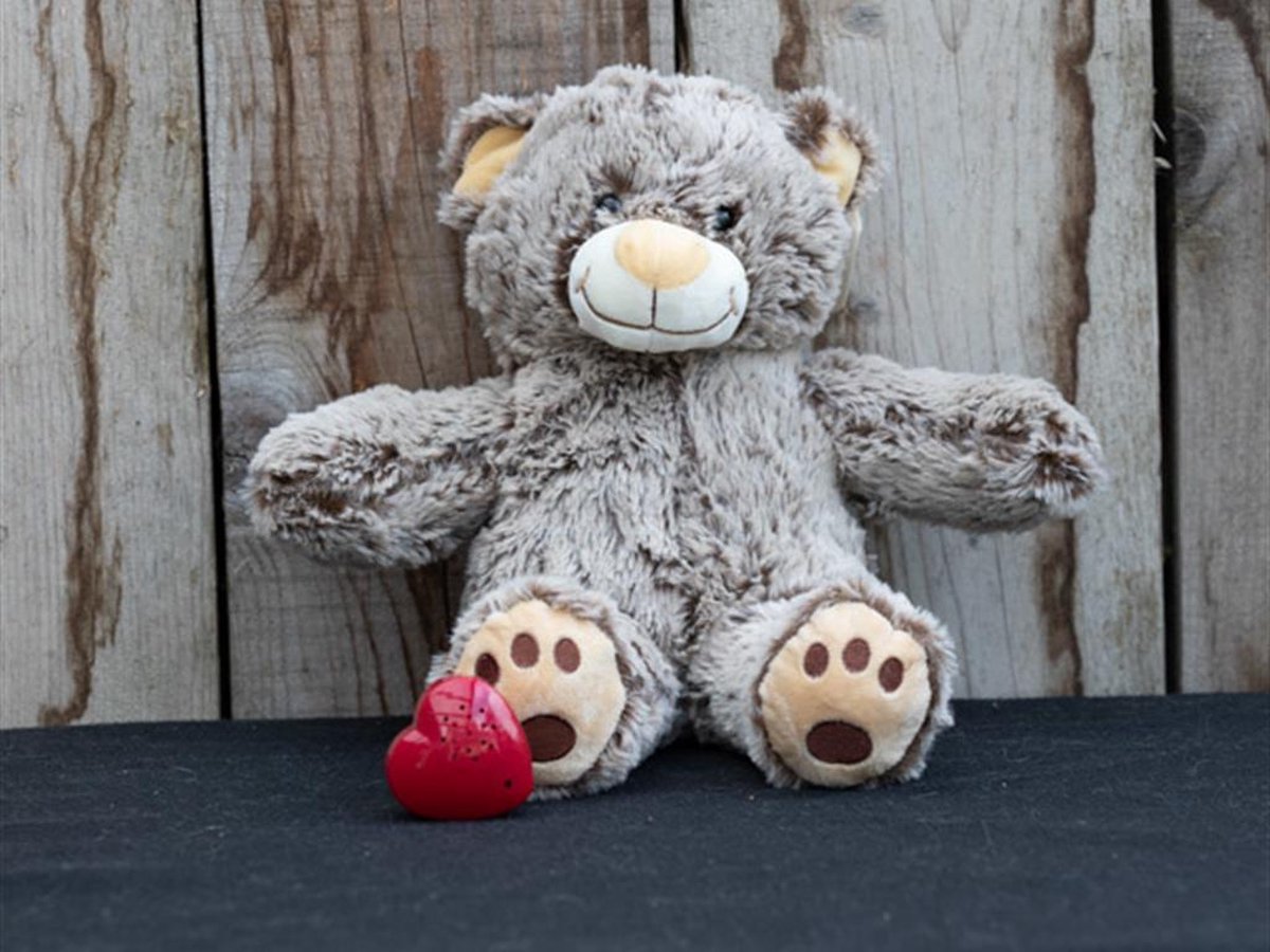 Classic Teddy bear two color met spraakmodule