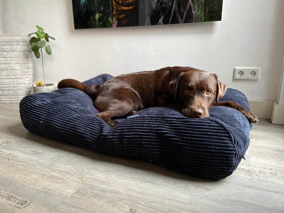 Dog's Companion hondenkussen - S - 70 x 50 - giant ribcord - Midnight blue