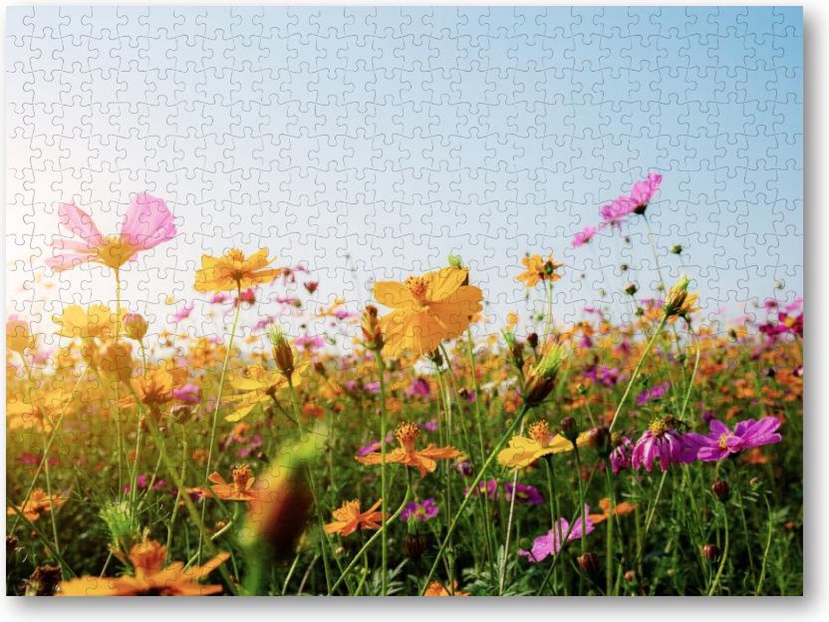 Bloemen in veld met zonsondergang - 500 Stukjes puzzel voor volwassenen - Natuur - Bloemen