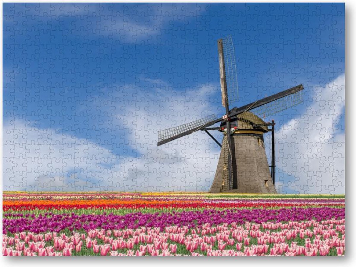 Bloemenveld en molen - Amsterdam - 500 Stukjes puzzel voor volwassenen - Landschap - Natuur - Bloemen