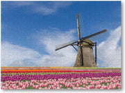Bloemenveld en molen - Amsterdam - 500 Stukjes puzzel voor volwassenen - Landschap - Natuur - Bloemen