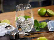 Edelstalen ijsklontjes - 4 stuks - Ernesto - geschikt voor de vaatwasmachine - Stainless steel ice cubes