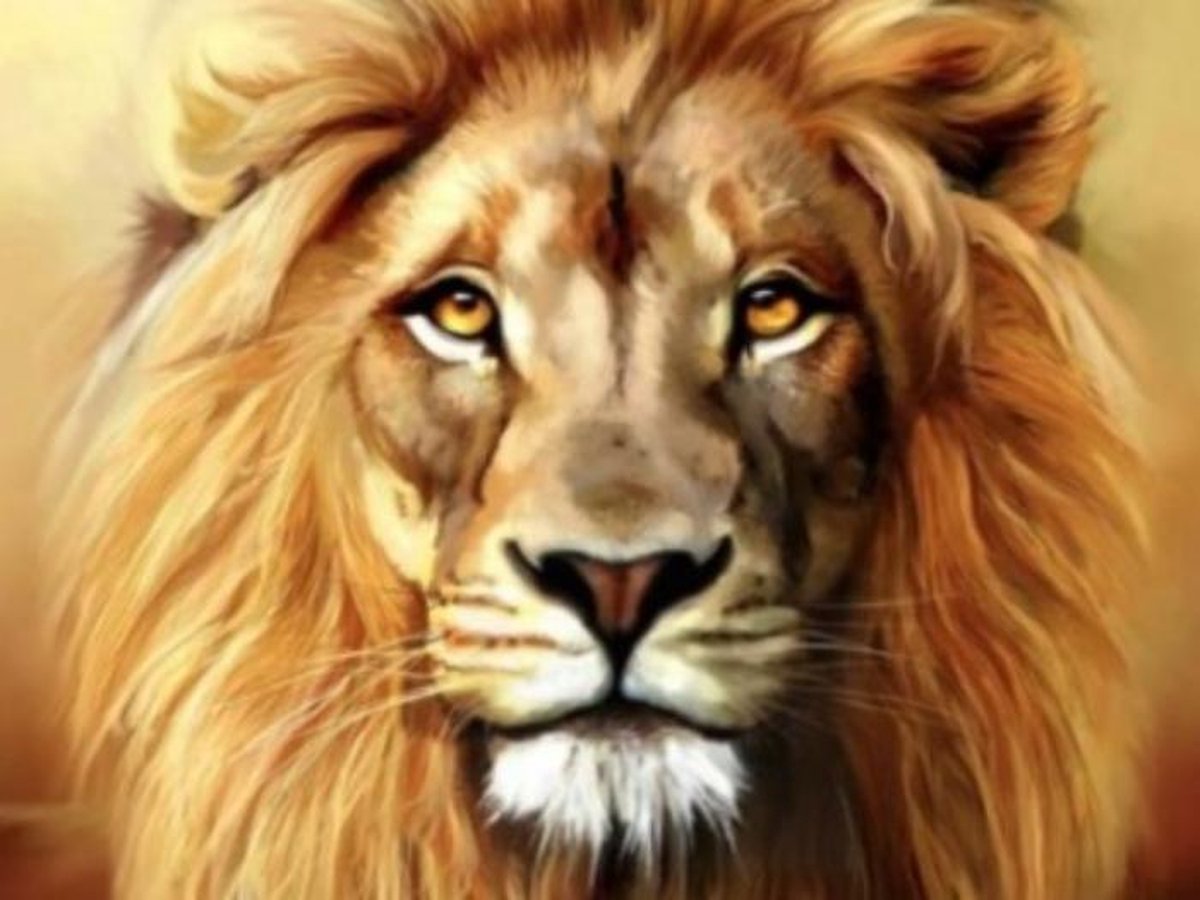 Diamond Painting - Leeuw 50x40 cm (Volledige Bedekking) - Inclusief Premium Tools