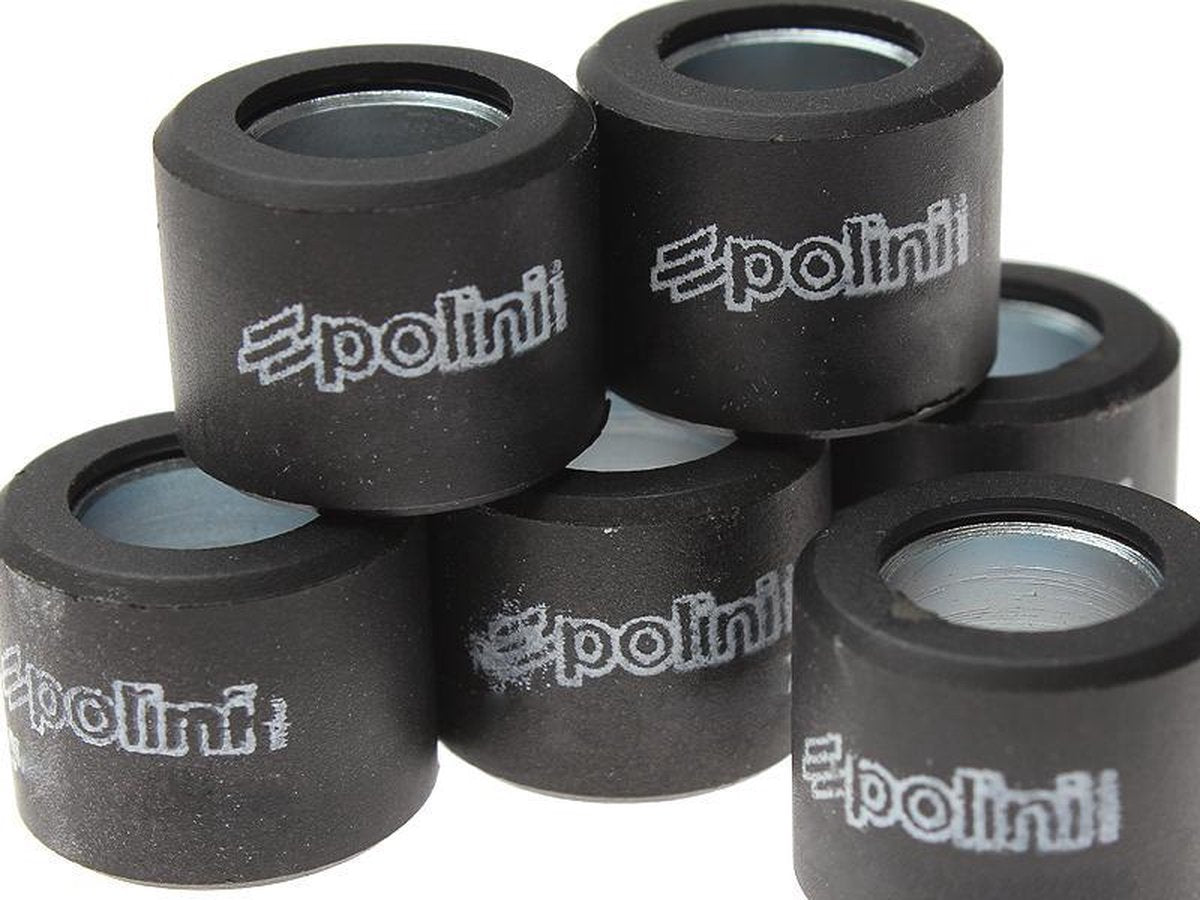 Variorollenset Polini 19x15.5 - 8.1 gram