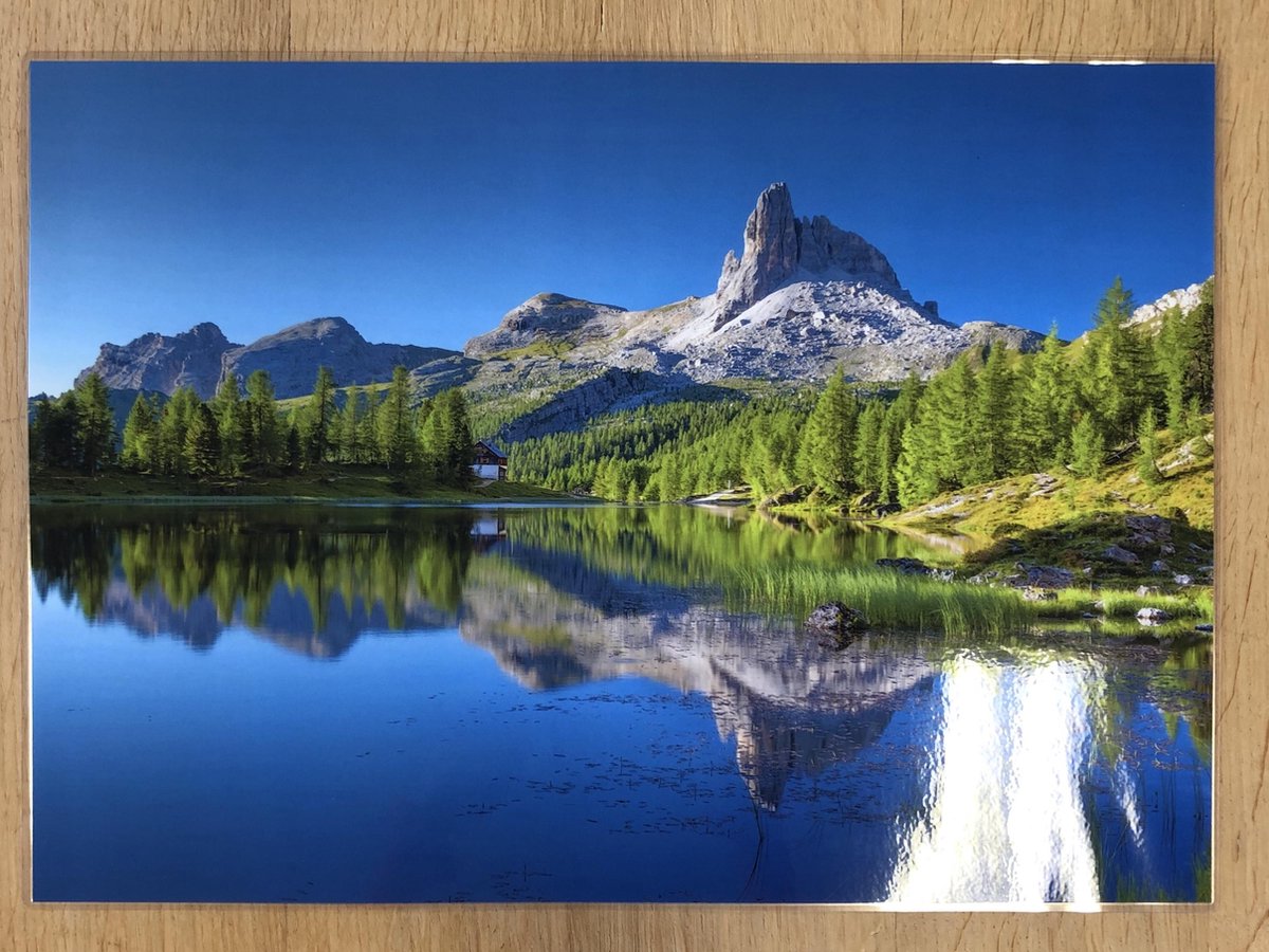 Cadeautip ! Placemats natuur afbeeldingen set a 6 stuks